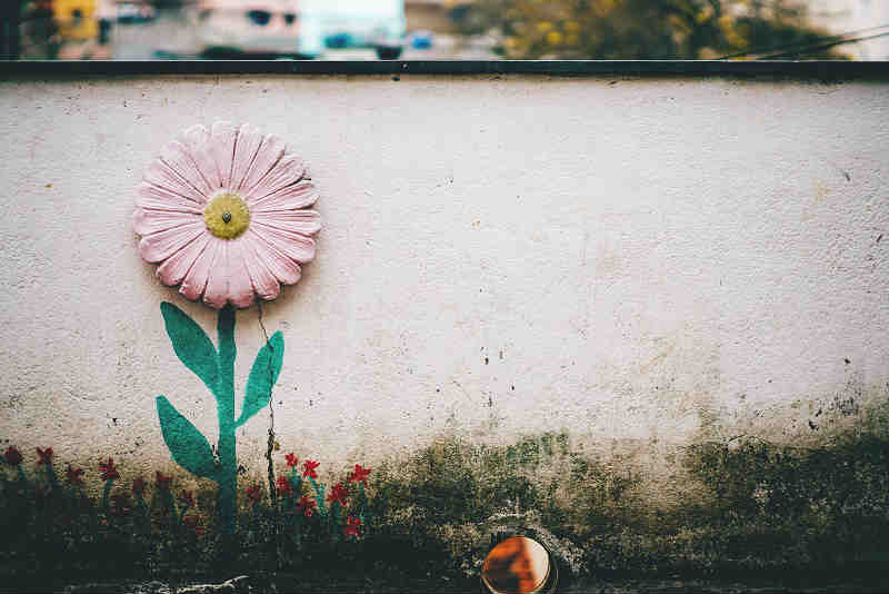 Flower, Wall Art