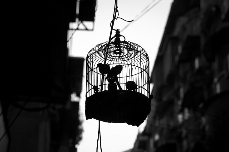Caged Bird, Freedom