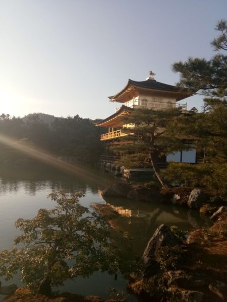 a journey to japan temple of golden pavilion