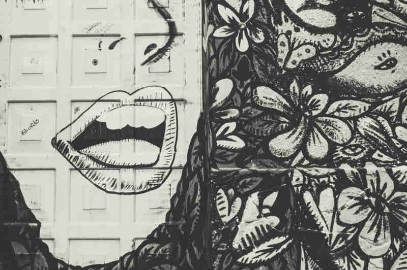 Flower, Lips, Wall
