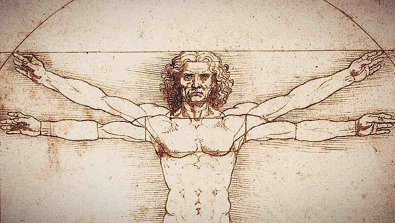 Leonardo Vitruvian Man, Human, Race