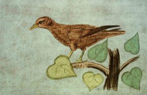 Bird