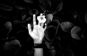 Flower, Hand