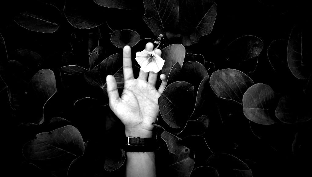 Flower, Hand