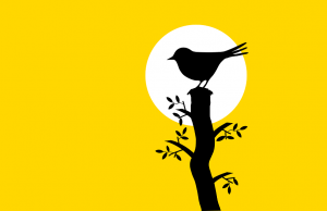 Sun, Bird, Tree